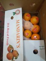 Wholesale Fresh Orange / Fresh Fruit / Valencia Oranges / Sweet Naval Oranges