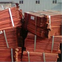 Copper Cathode Cu 99.99 % for sale