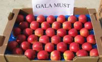 Fresh Red Gala Apples For Sale