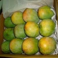 Fresh Alphonso Mangoes for sale
