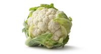 IQF Frozen Cauliflower with Good Quality and IQF Cauliflower Price