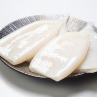 New High Quality Selling Healthy Seafood Frozen Squid