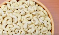 ORGANIC CASHEW NUTS ORIGIN FROM INDONESIA