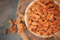 Iranian Mamra almond kernel