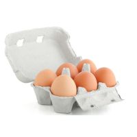 Organic Fresh Chicken Table Eggs & Fertilized Hatching Eggs UKRAINE origin