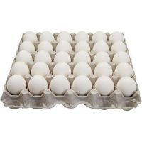 Ukraine high quality fresh farm white Chicken egg