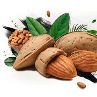 Almonds Nuts for good price