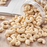 Dried style and raw processing kind CASHEW NUTS BB