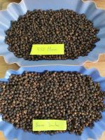 Low price pepper black High Quality Vietnam Black Pepper