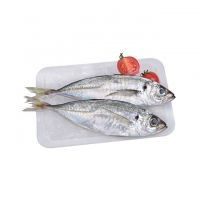 Frozen Horse Mackerel WhatsApp (+84) 378296963