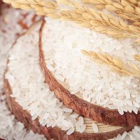 Rice Long Grain