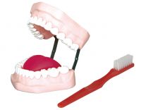 Sell Tooth Hygiene Set