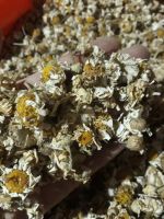 wild chamomile (feverfew)