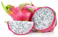 Be a supplier of Fresh Dragon Fruit From Vietnam (HuuNghi Fruit)