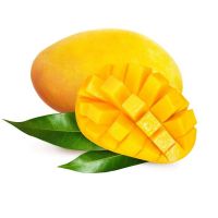 Be a supplier of Fresh Cat Chu Mango From Vietnam (HuuNghi Fruit)