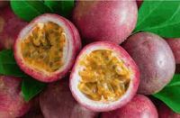 Fresh Passion Fruit From Vietnam Good for Health Sells with Competitive Price (HuuNghi Fruit)