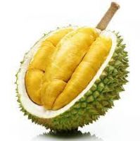 Premium Quality Fresh Durian Ri 6 Made in Vietnam (HuuNghi Fruit)