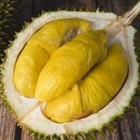 Fresh Musang King D197 Durian From Vietnam with Competitive Price (HuuNghi Fruit)