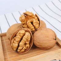 Xinjiang Paper Shell Raw Walnuts with Low Price