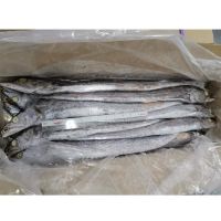 0.05% Max Moisture Fresh Frozen Whole Round Ribbon Fish With Natural Silver Color