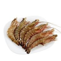 Fresh Tiger Prawns/Wild Shrimps/Chilled Seafood!