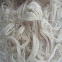 100% pure Cotton Sizing Yarn Waste