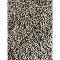 Natural barley feed whole grain agriculture animal feed barley bulk