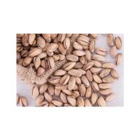 High Quality Inshelled Antep Pistachio Wholesale Product - The Most Preferred Pistachio Nuts