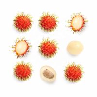 BEST PREMIUM ORGANIC FRESH RAMBUTAN FRUITS FOR SALE