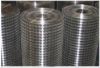 Sell Welded Wire Mesh-Electro Galvanized