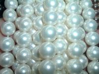 Sell A++ 5 strand 12 mm WHITE south seashell pearl