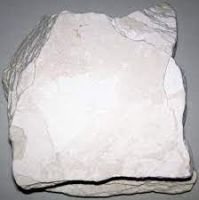 Manufacturer Selling Lower Price c, Diatomite Diatomaceous earth Powder For filtration