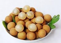 Sell Fresh Hung Yen Longan - High Quality, Stable Supply (HuuNghi Fruit)