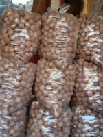 Kashmiri Walnuts for Export