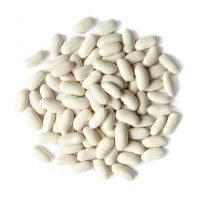 Best Price Cannellini Beans Kidney Bean