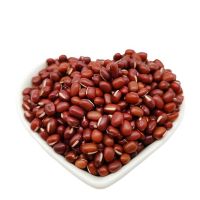 Small red beans beans wholesale