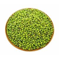 Bulk Green Mung Beans For Sale