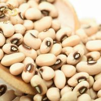 Best price Quality Black Eyed Cowpea Beans