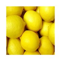 Fresh Yellow Lemons from South Africa in Stock