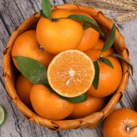 Best Quality Sweet Fresh mandarin orange/Fresh Orange, Naval Orange Valencia Oranges/full juicy kino mandarin