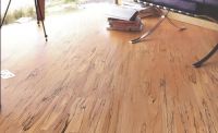 Sell black birch Solid Wood Flooring