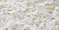 High quality low price rice