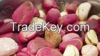 kola nut