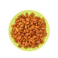 Cedar Nuts / Pine Nuts