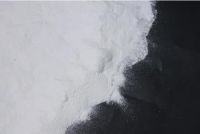 Methylcellulose Mc Coatings, inks, adhesives to textiles, printing and dyeing to medicine and food processinCAS NO.9004-67-5g