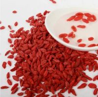 Dried Goji Berry Hot Selling High Quality with Good Price