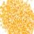 New Season IQF Frozen Grain Yellow Sweet Corn Cob Wholesale