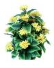 Sell artificial flowers 2