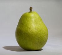 Wholesale Fresh Pear / Ya Pear Fruit Price / Fresh Golden Pear Best Price