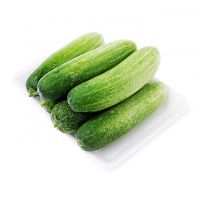 FRESH CUCUMBER